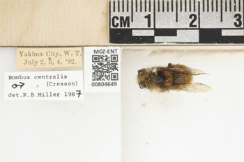 Media type: image;   Entomology 804649 Aspect: labels